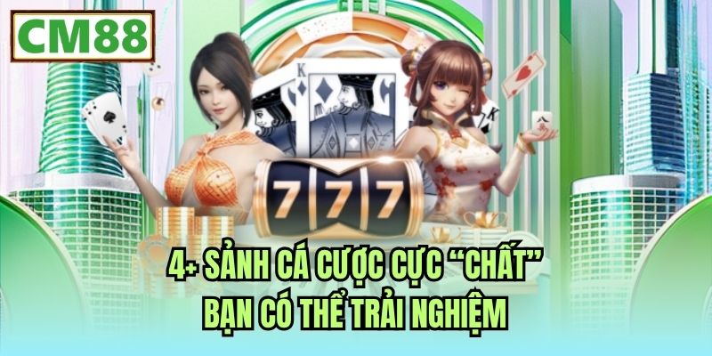 4+ sảnh cá cược cực “chất” bạn có thể trải nghiệm