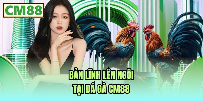 Bản lĩnh lên ngôi tại Đá gà CM88