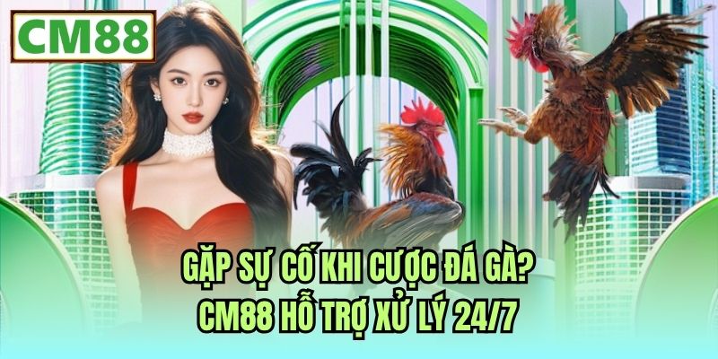 Gặp sự cố khi cược đá gà? CM88 hỗ trợ xử lý 24/7